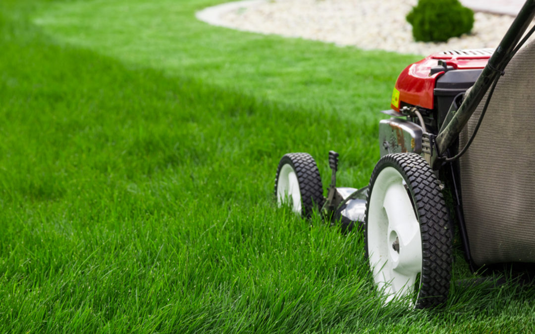 5 Ways The Right Lawn Service Arkansas Makes Your Life Easier
