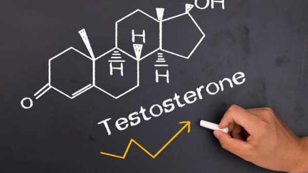 Unveiling the Cost of TRT Therapy: What to Expect