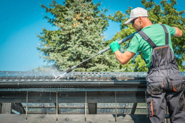 Highlands Ranch Cleaning Service: From Dusty to Dazzling!