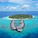 private wellness island