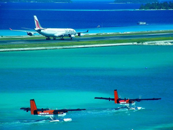 Reef Destinations: The Best New Resorts to Experience