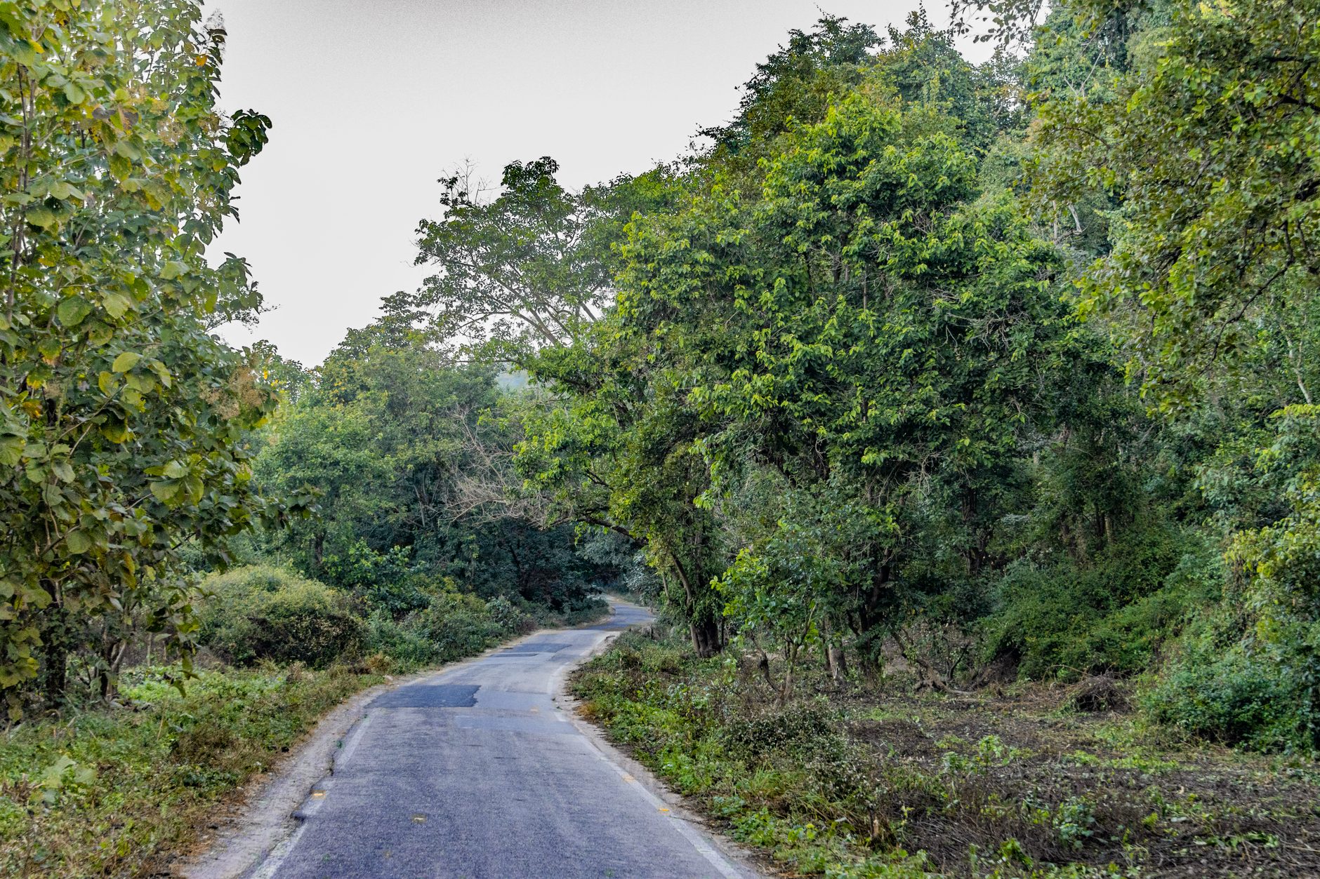 Taj Corbett Resort expansion